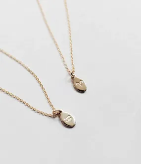 Delicate Zodiac Necklace