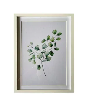 Eucalyptus Frame