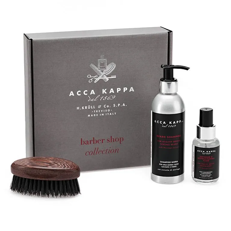 Gift Set with Beard Shampoo, Fluid and Beard Brush