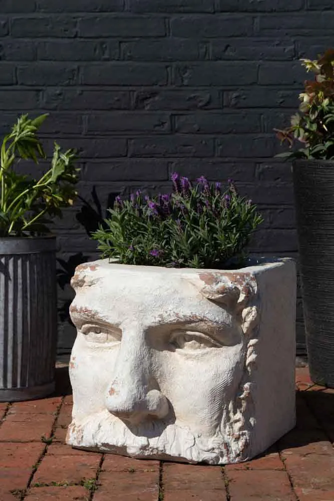 Large Rustic Stone Effect Classical Face Planter