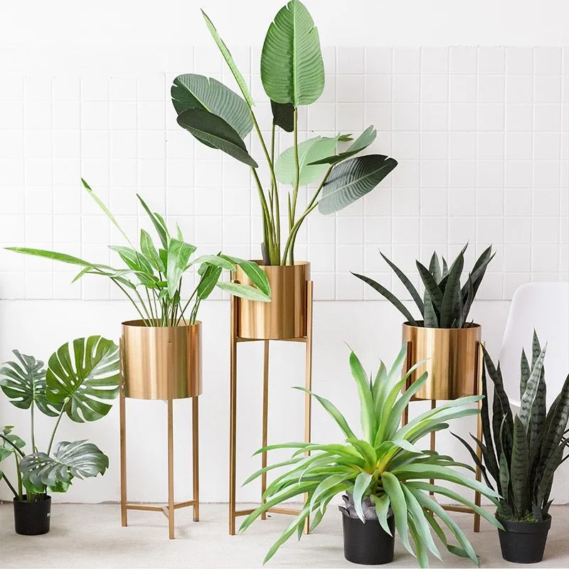 Modern Brass Plant Stand