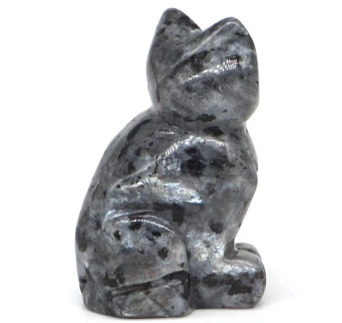 Natural Larvikite Gemstone Cat